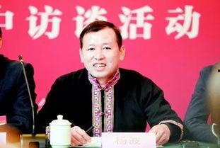 杨波个人资料
